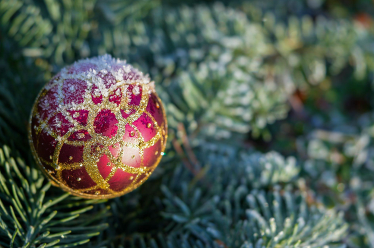 Artificial Christmas Trees: An Eco-Friendly Solution for the White House During Jury Duty