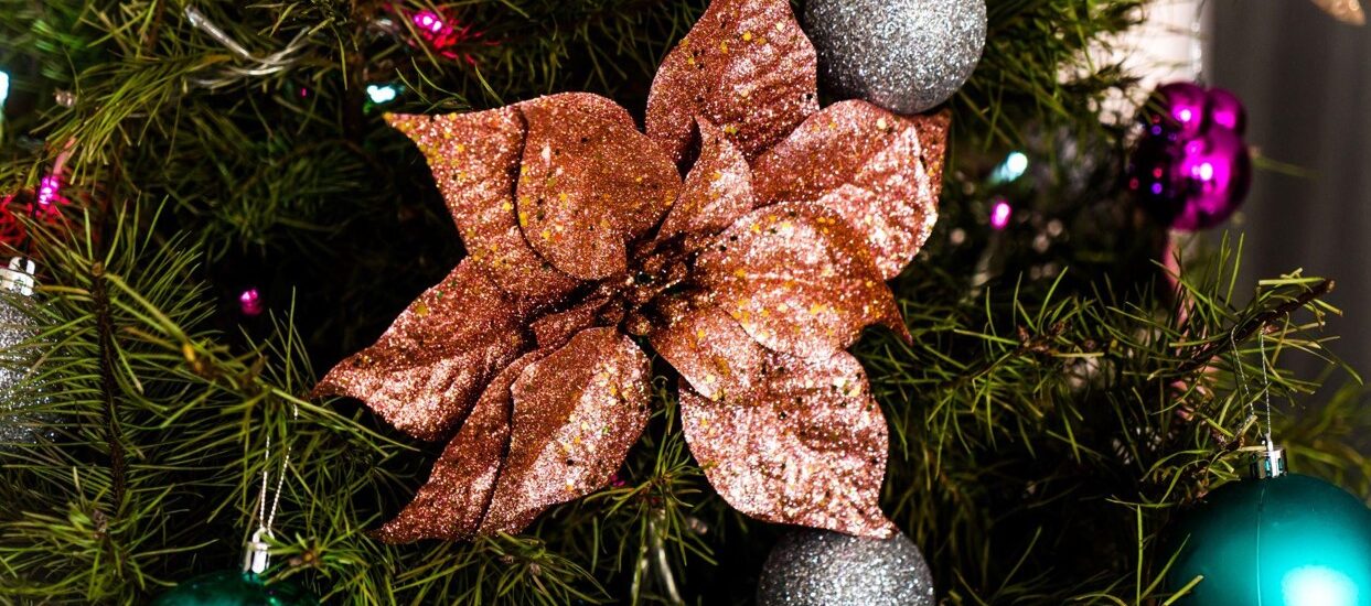 Choosing the Perfect Christmas Tree for Your Home