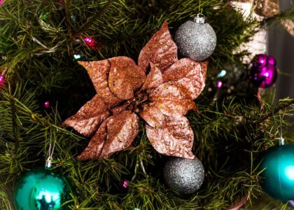 Choosing the Perfect Christmas Tree for Your Home