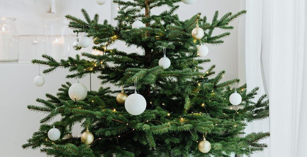 Noble Fir Christmas Wreaths: A Year-Round Connection